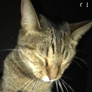 Meet your Posher, Jacob